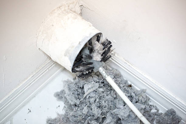 Best Local Air Duct Cleaning Services  in Cecil Bishop, PA